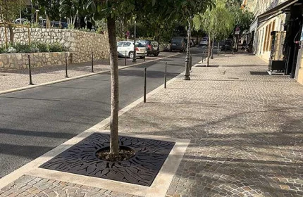 De belles grilles d'arbre racines &agrave; Beaulieu-sur-mer (06)