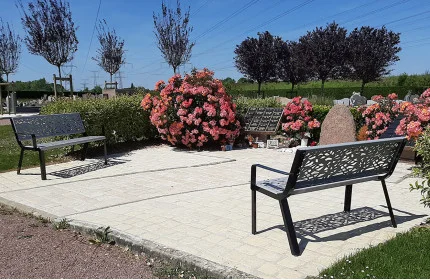 Les bancs graphiques d'Ozoir-la-Ferri&egrave;re (77)